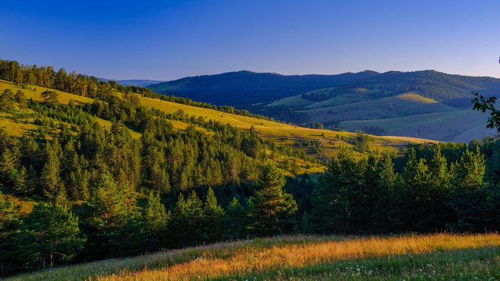 Pogled sa Crnog vrha na Divčibarama na borove šume i travnate grebene planine Maljen