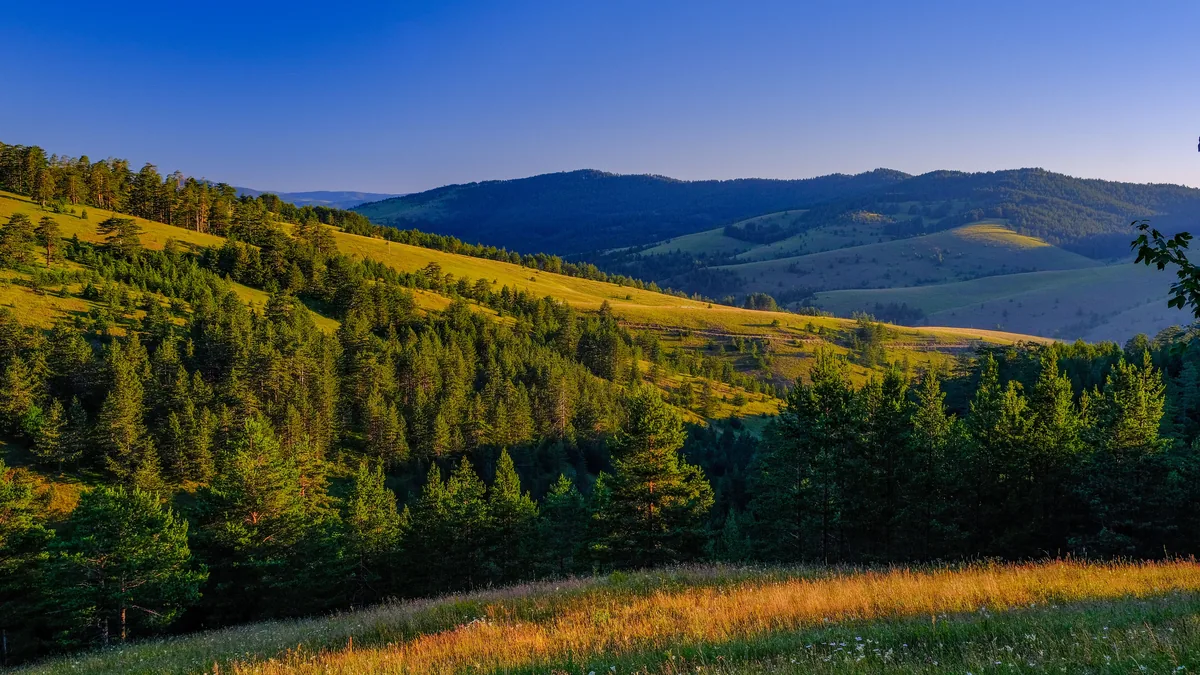 Pogled sa Crnog vrha na Divčibarama na borove šume i travnate grebene planine Maljen